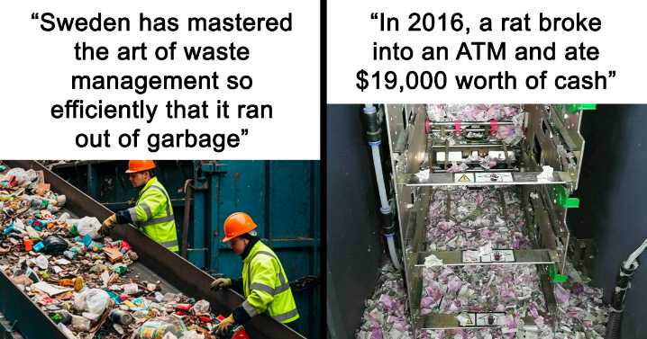 46 Stories To Keep You Up To Date With The Interesting Things That Are Happening In The World