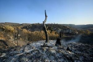 Massive French wildfire contained but ‘not under control’