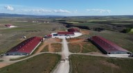 El proveedor de huevos de Mercadona abrirá una granja para 320.000 gallinas camperas en Extremadura