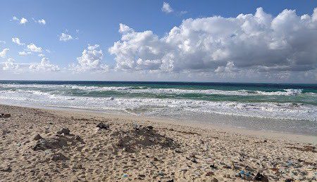 Six students drown and 21 hospitalised after swimming on beach school trip