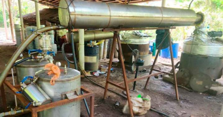 Harfuch confirma megadecomiso de 6 toneladas de drogas en Chiapas y Guerrero