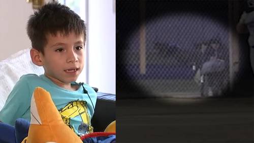 6-year-old boy attacked by coyote during sister's softball game
