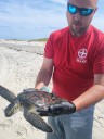 Sea turtle rescued from tide pool in Barnegat Light with surprise hitchhiker