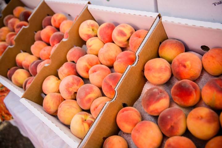 Palisade peach recipes
