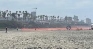 Inician obras para Cable Submarino Bifrost
