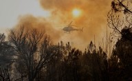 Incendios de agosto en España dejan 3 muertos y miles de desalojados; reportan más de 115 mil hectáreas quemadas