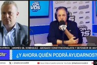 Andrés Gil Domínguez le explicó a Tenembaum por qué "Milei lesionó los derechos de un niño"