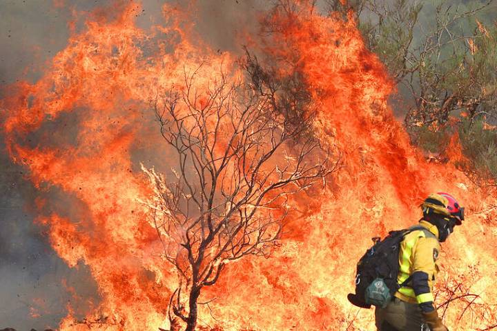 Wildfires fanned by heatwave and strong winds rage across Europe