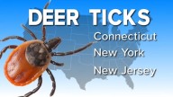 Tips to prevent tick bites and recognize symptoms of Lyme disease