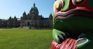 Cowichan's lawyer says B.C. must reconcile property rights with land claim ruling