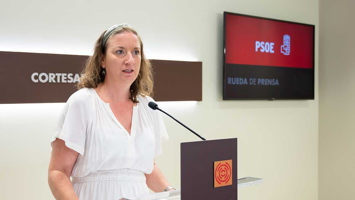El PSOE pide una comparecencia de Octavio López tras sus polémicas declaraciones en San Lorenzo