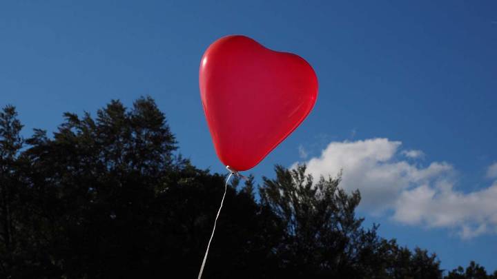 Es el amor, estúpido