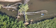 Warning for boaters, tubers after tree falls in Arkansas River