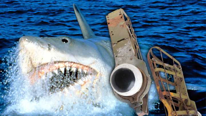 Shark Eyes Prop From 'Jaws' Rolling Up for Sale at Auction