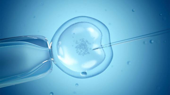Losing Weight Before IVF May Help Women With Obesity Get Pregnant