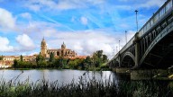 En solo un año, se han plantado en Salamanca más de 8.300 árboles y arbustos