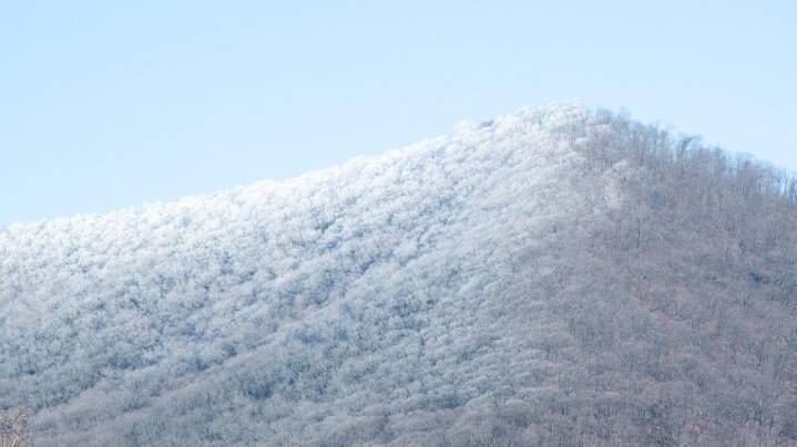 Will it be a cold winter in NC? In the U.S.? What we…