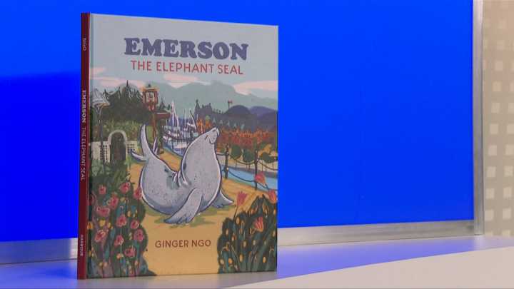 ‘Fell in love with him’: Emerson the elephant seal stars in new children’s book