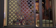 Flagstaff animal shelter at double capacity as cruelty cases increase