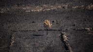 La Junta reduce el Índice de Gravedad Potencial del incendio de Puercas (Zamora) al nivel uno y el de La Sagrada (Salamanca) al cero
