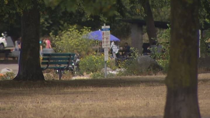Man critically injured after Golden Gardens Park shooting