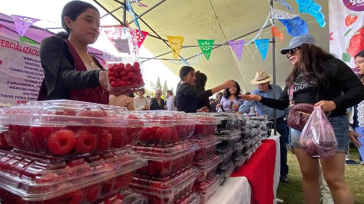 Feria de las Berries: innovan con licores y hasta salsas para 20 mil visitantes