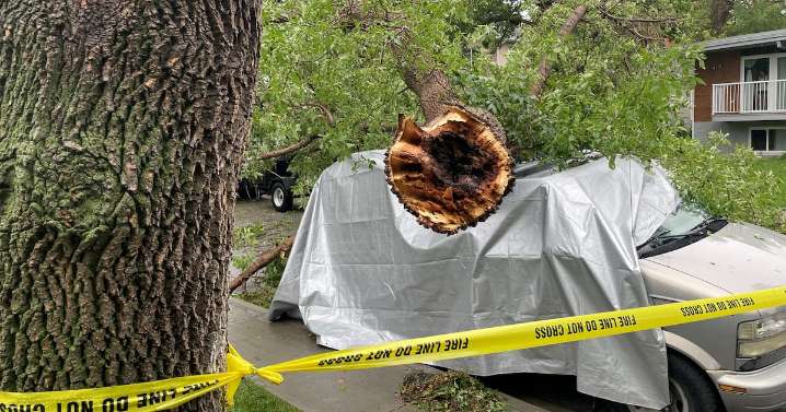 Estimated cost of Calgary’s July hailstorm pegged at $92M