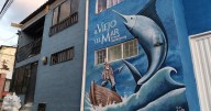 Inauguran la primera Calle Literaria de Caldas con murales de libros clásicos: impulso a la cultura