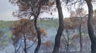Se declaran dos incendios, los dos en la provincia de Albacete, uno de ellos controlado