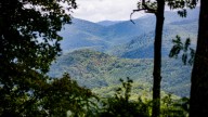 Parkway section reopens, reconnecting Asheville to…