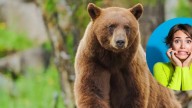 Mujer salió a correr en Estados Unidos y se encontró con un oso: nadie puede creer la reacción del animal