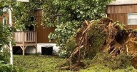 Friday afternoon's storm causes downed trees, power lines throughout the area