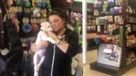 ’We Just Want to Say Thank You’: Fund the Shelters Challenge Raises $1.56M for Animals