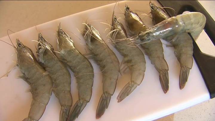 FDA warns against eating certain shrimp sold at Walmart amid investigation into radioactive contamination