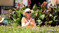 Salamanca, en alerta naranja en este sábado por calor: máximas de hasta 39 grados