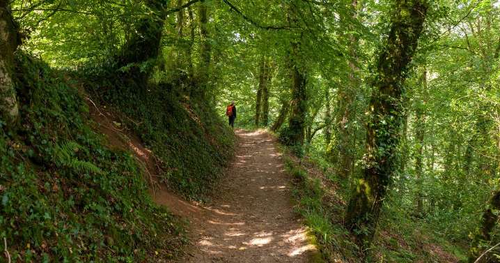 'Tropical paradise' in UK that feels like you've 'stepped into Costa Rica'
