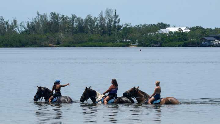 Water quality health advisory issued for Palma Sola Beach in Manatee