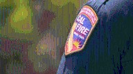 Brush fire burns near SR