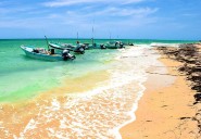 Convocan limpieza simultánea en 14 playas en Yucatán