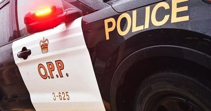 Man arrested after dog shot and killed