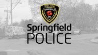 One pedestrian dies in Springfield crash, second pedestrian injured
