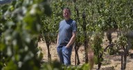 Some California winemakers don’t want tariffs on their European competitors. Here’s why