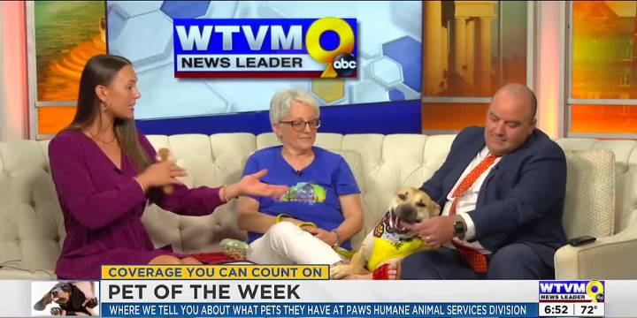 Pet of the Week: Portia