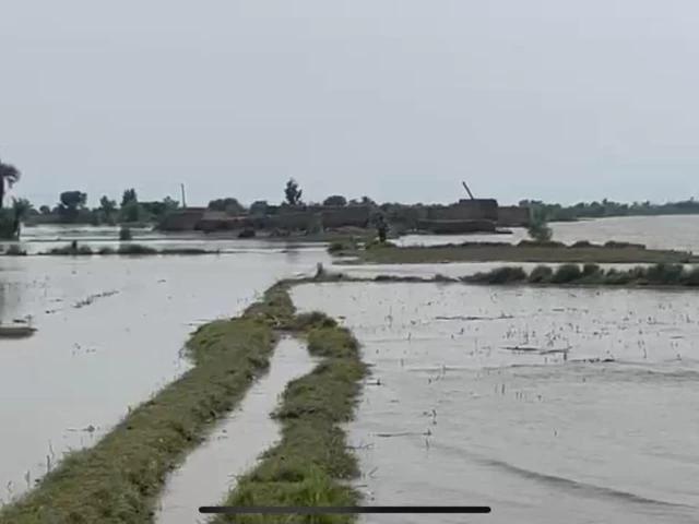 Riverine settlements drown as India warns of more floods 