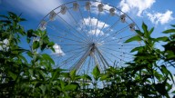 What's happening Tuesday, Aug. 12 at the Iowa State Fair 2025
