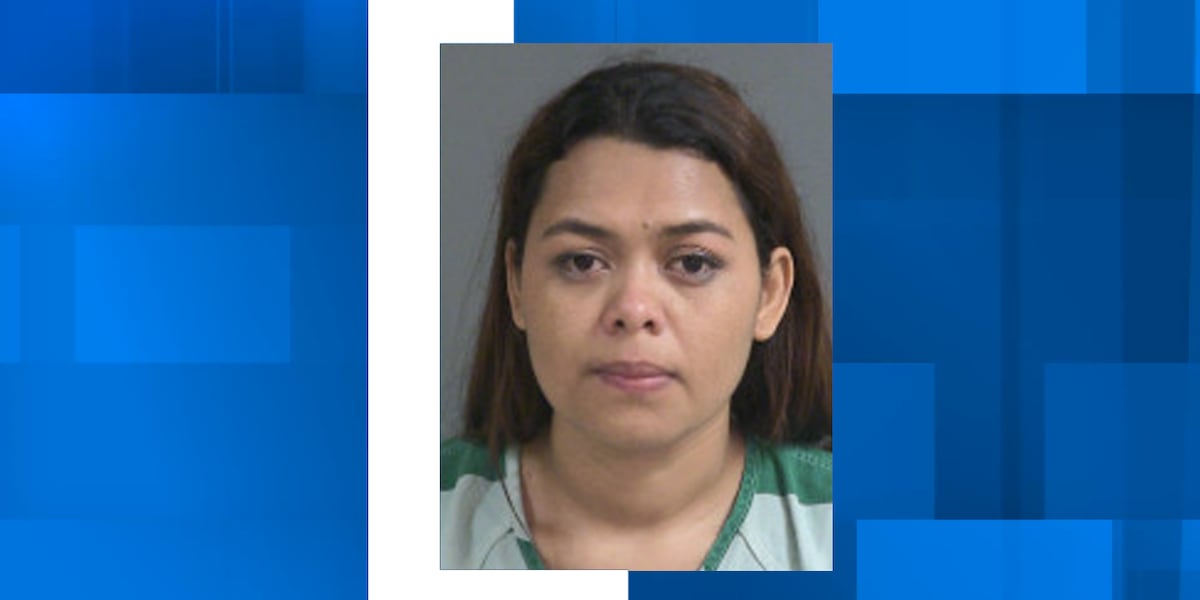 N. Charleston Police arrest woman for driving wrong way with children in vehicle