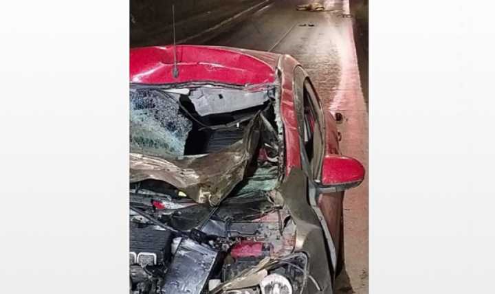 Violento accidente de tránsito cobró la vida de dos caballos en Avenida Frei