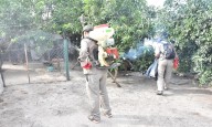 Dengue: continúa el trabajo preventivo en los barrios para erradicar los criaderos de mosquitos