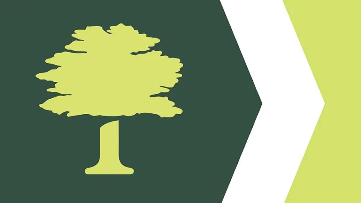Is Overland Park's new city flag good? We asked an expert vexillologist to review it