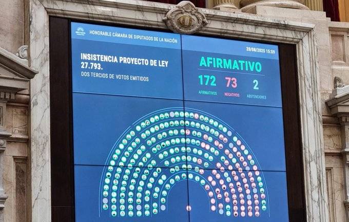 Diputados rechazaron el veto a la emergencia en discapacidad